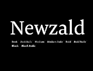 Newzald Family font