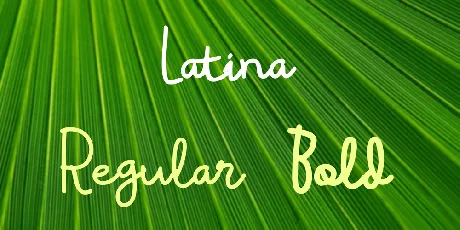 Latina font