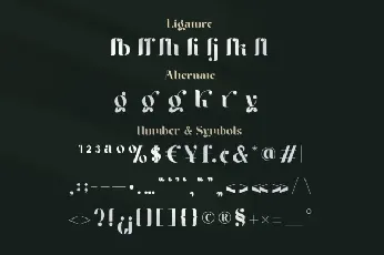 Braga Typeface font