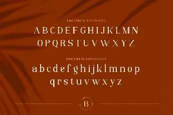 Bilderberg Beauty Serif font