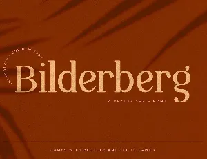 Bilderberg Beauty Serif font