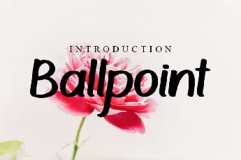 Ballpoint Script font