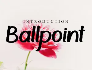 Ballpoint Script font