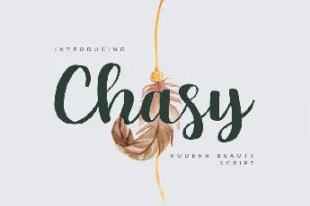 Chasy Beauty Calligraphy font