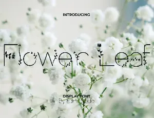 Flower Leaf Demo font