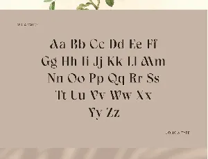 Mica Valo font