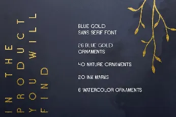 Blue Gold Sans Serif font