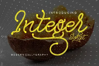 Integer font