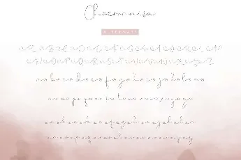 Choerunnisa Demo font