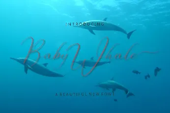 Baby Whale font