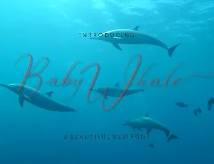 Baby Whale font