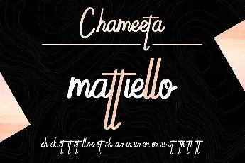 Chameetademo font