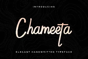 Chameetademo font