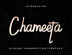 Chameetademo font