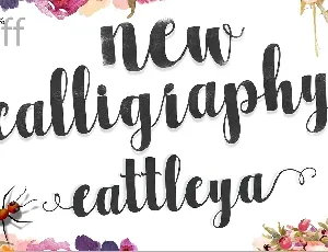 Cattleya Script font