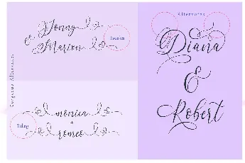 Letternisa Script font