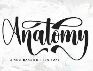 Anatomy Script font