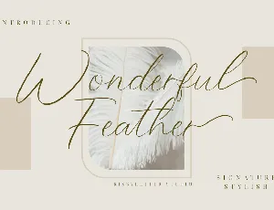 Wonderful_Feather font