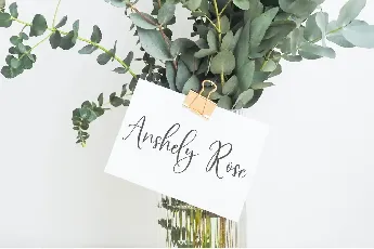 SundayBouquet font