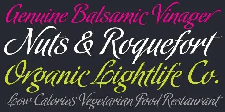 Font Bundle 5