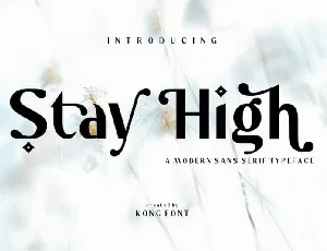 Stay High Sans Serif font