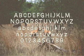 Rubbing font