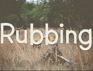 Rubbing font