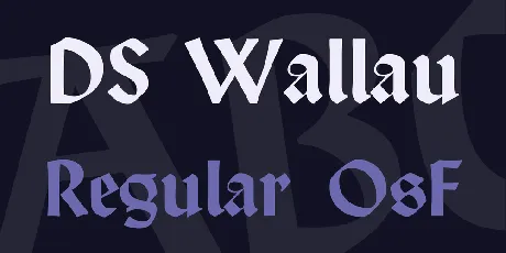 DS Wallau font