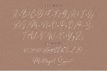 Willonita font