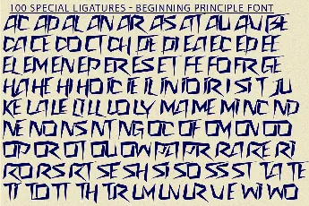 BEGINNING PRINCIPLE DEMO font