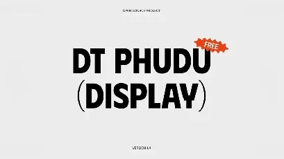 DT Phudu font