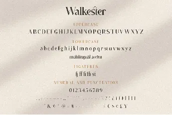 Walkester font