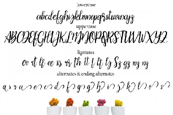 Bicillesta Calligraphy font