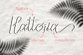 Bicillesta Calligraphy font