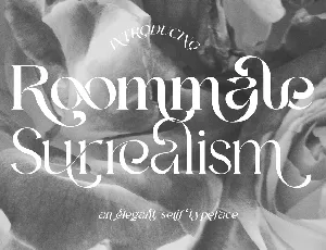 Roommate Surrealism Demo font