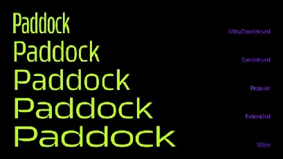 Paddock Family font