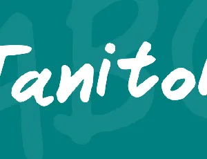 Janitor font