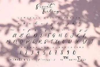 Secret Feeling Demo font