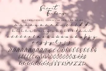 Secret Feeling Demo font