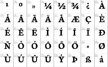 Neuton font