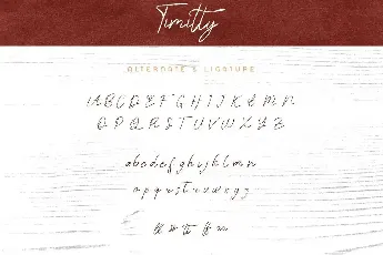 Timitty Demo font