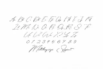 Scallies Signature font