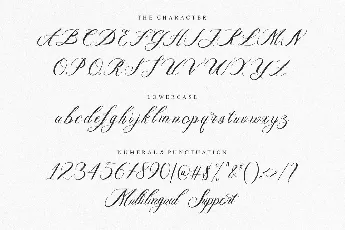 Holdywood font