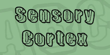 Sensory Cortex font