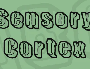 Sensory Cortex font