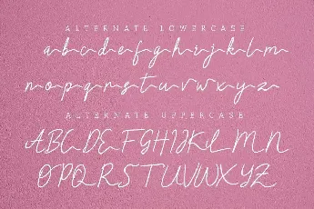 Claressa Demo font