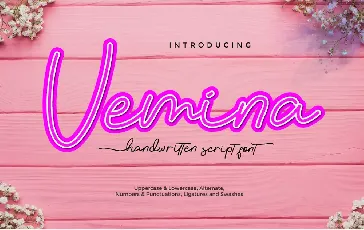 Vemina font