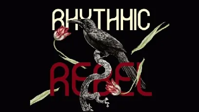 Rhythmic Rebel font