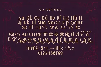 Carbines font