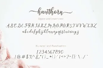 Hawthorn font